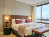 Premium Suite