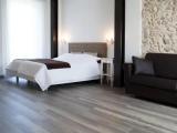 Standard Penthouse room
