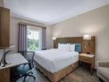 1 Bedroom Family Suite