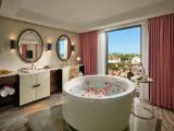 1 Bedroom Presidential Suite