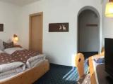 Standard Double room with mountain view