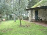 Suite with garden view
