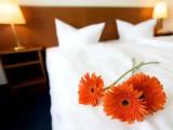 Standard Double room with panoramic view