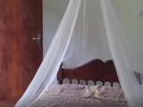 Standard room with view