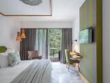 Standard Double room with river view
