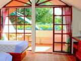 Premium Double room with garden view