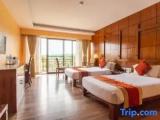 Deluxe room with garden view