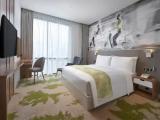 1 Bedroom Double Suite with city view
