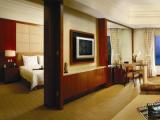 Executive Suite with river view
