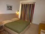 Standard Double room with garden view
