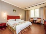 Single Suite