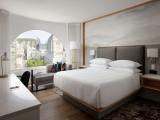 Standard Double Club room with park view