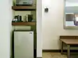 Standard Single room with park view