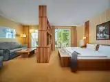 Standard Penthouse room with balcony