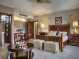 Superior Suite with partial view