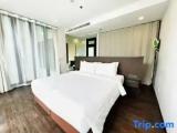 Duplex Suite