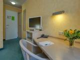 Deluxe Double room with garden view