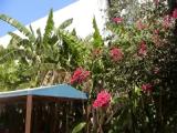Standard Double room with garden view