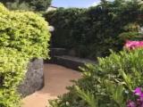Apartment with garden view