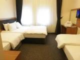 Standard Quadruple room with mountain view