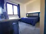 Standard Double room with garden view