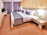 Business Apartment