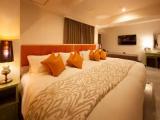 Annex-Deluxe Double room