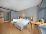 Premier Twin room