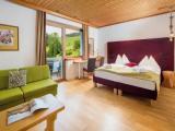Superior Double room with balcony and with mountain view