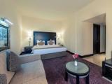 Executive Double Suite