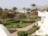 Premium Double room with garden view