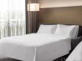 Double Guest room with balcony and with park view