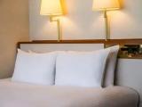 Superior Junior Suite