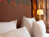 Single Junior Suite