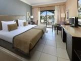 Superior Double room with pool view