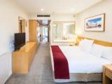 Business Double Suite with mountain view