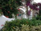 Comfort Double room with garden view