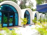 Deluxe Single room with garden view