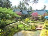 Standard Quadruple room with garden view