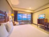 1 Bedroom Suite