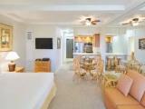 Premium Studio with balcony and with garden view