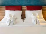 Standard Single Suite