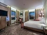Deluxe Double room with park view