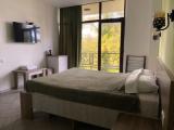 Standard Double room with pool view