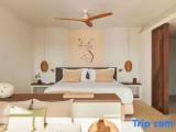 Family Junior Suite