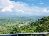 Superior Double room with mountain view