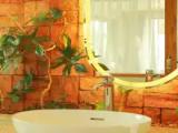 Executive Studio