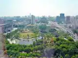 Standard room with park view