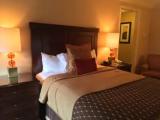 Executive Double Suite