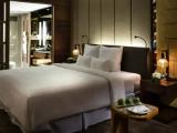 Single Suite